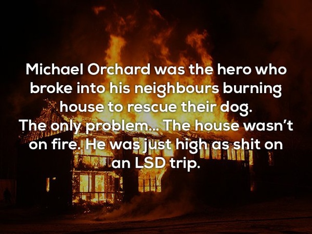 Interesting Facts (24 pics)