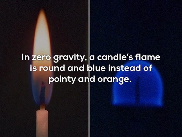 Interesting Facts (24 pics)
