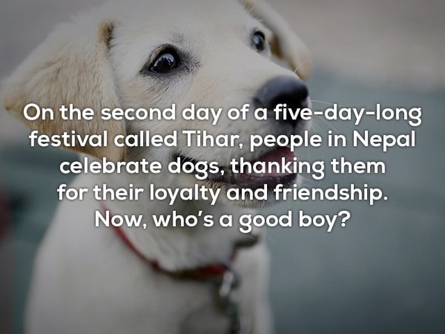 Interesting Facts (24 pics)