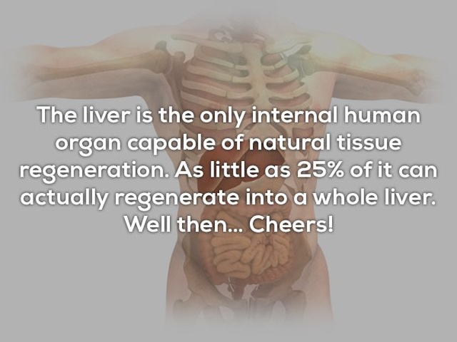 Interesting Facts (24 pics)