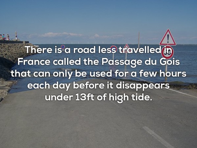 Interesting Facts (24 pics)