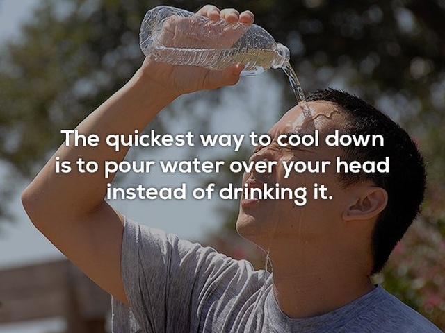 Interesting Facts (24 pics)