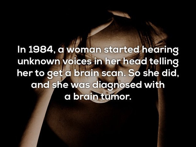 Interesting Facts (24 pics)
