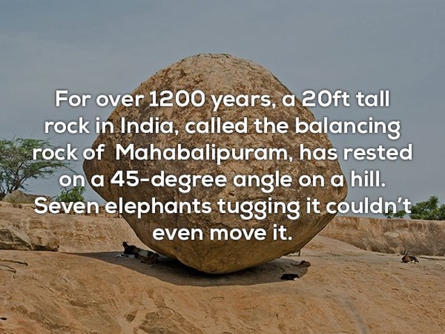 Interesting Facts (24 pics)