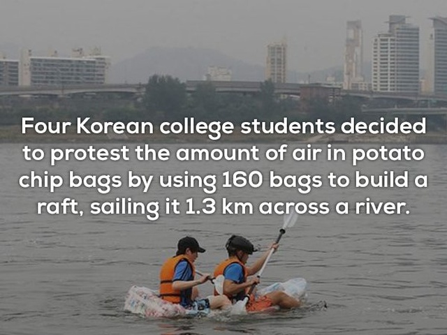 Interesting Facts (24 pics)
