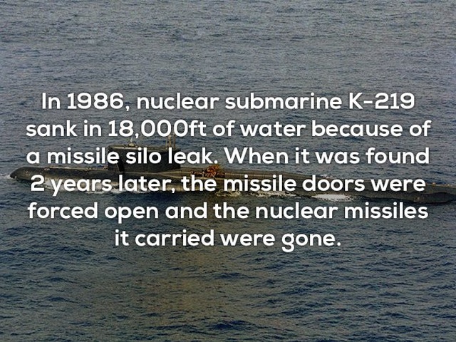 Interesting Facts (24 pics)
