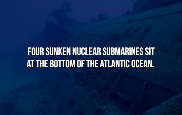 Scary Facts (21 pics)
