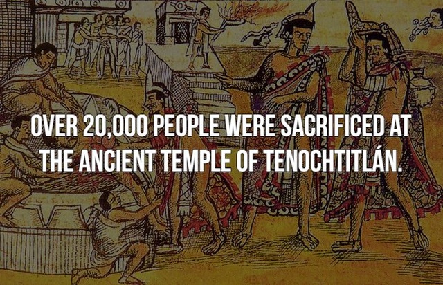 Scary Facts (21 pics)