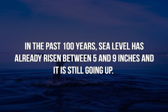 Scary Facts (21 pics)