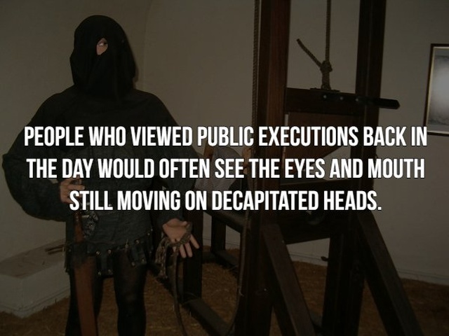 Scary Facts (21 pics)