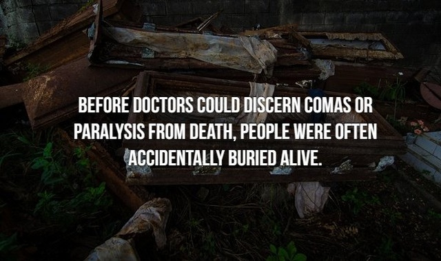 Scary Facts (21 pics)