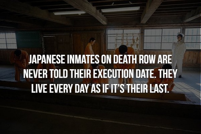 Scary Facts (21 pics)