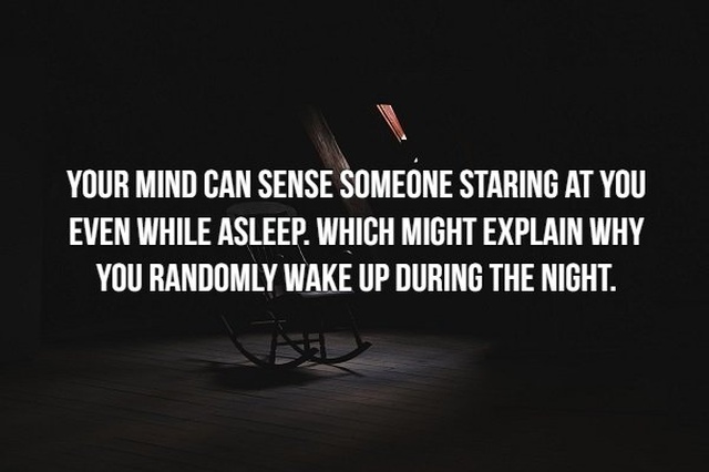 Scary Facts (21 pics)