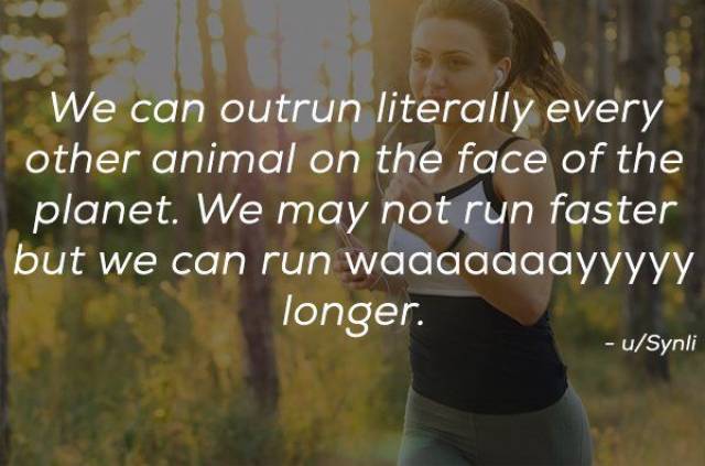 Humanity Has Achieved Quite A Lot (21 pics)