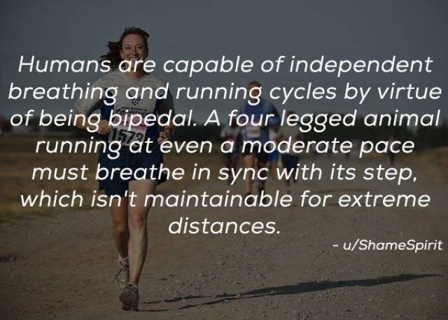 Humanity Has Achieved Quite A Lot (21 pics)