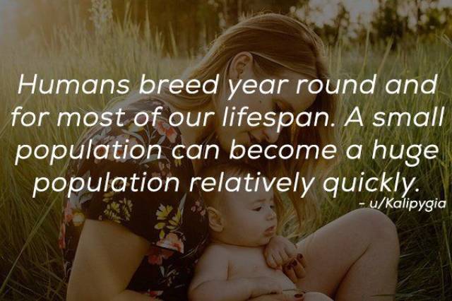 Humanity Has Achieved Quite A Lot (21 pics)