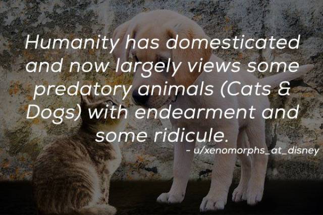 Humanity Has Achieved Quite A Lot (21 pics)