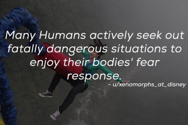 Humanity Has Achieved Quite A Lot (21 pics)