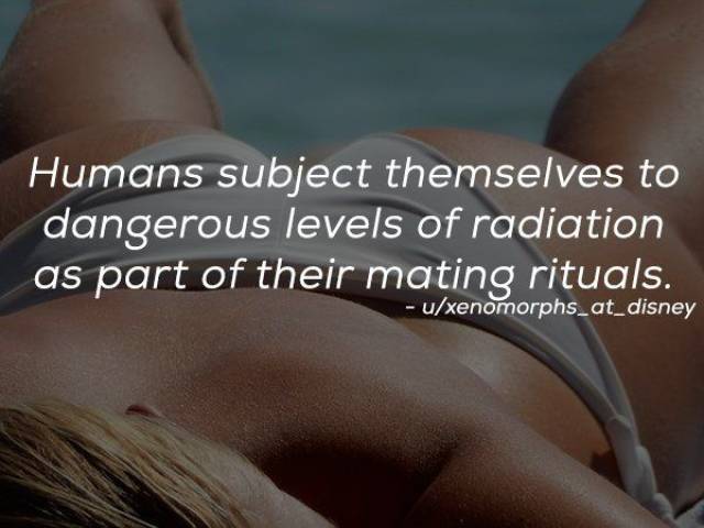 Humanity Has Achieved Quite A Lot (21 pics)