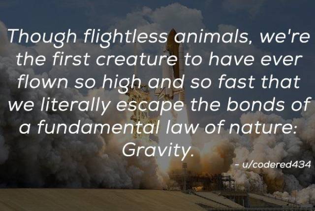 Humanity Has Achieved Quite A Lot (21 pics)