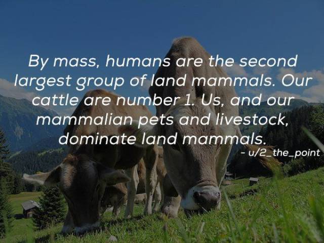 Humanity Has Achieved Quite A Lot (21 pics)