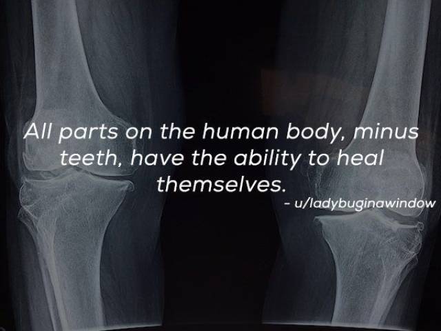 Humanity Has Achieved Quite A Lot (21 pics)