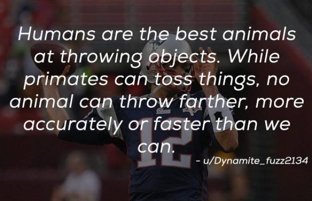 Humanity Has Achieved Quite A Lot (21 pics)
