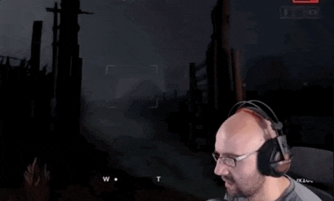 Pictures For Gamers (36 pics)