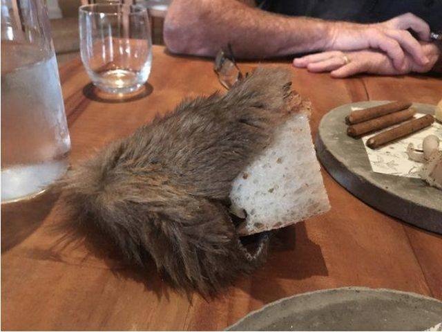 Very Odd Plates (34 pics)