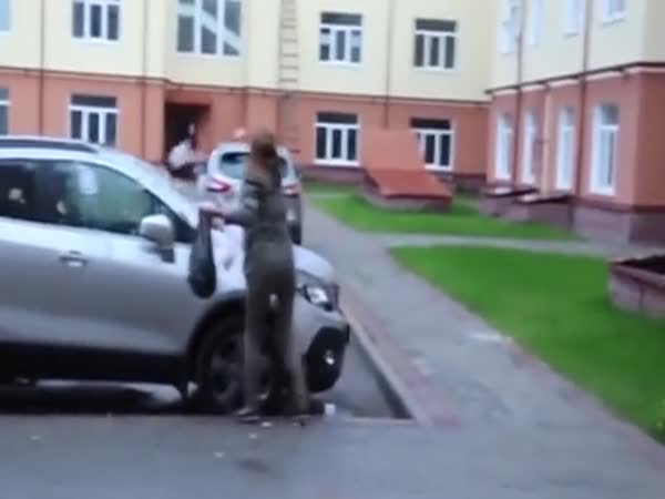 Girl Wrecks Wrong Car When Trying To Get Revenge On Boyfriend