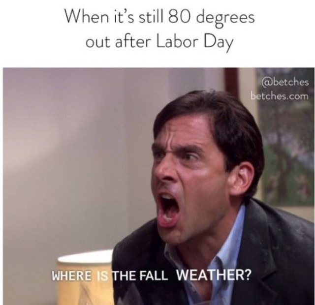 Chilly Memes About The Fall Season (37 pics)