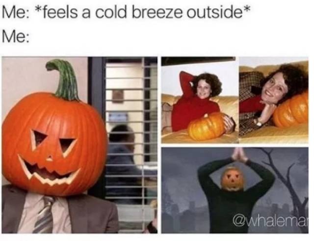 Chilly Memes About The Fall Season (37 pics)
