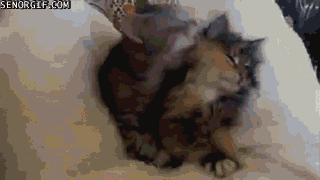 Acid Gifdump, September 19, 2018 (25 gifs)