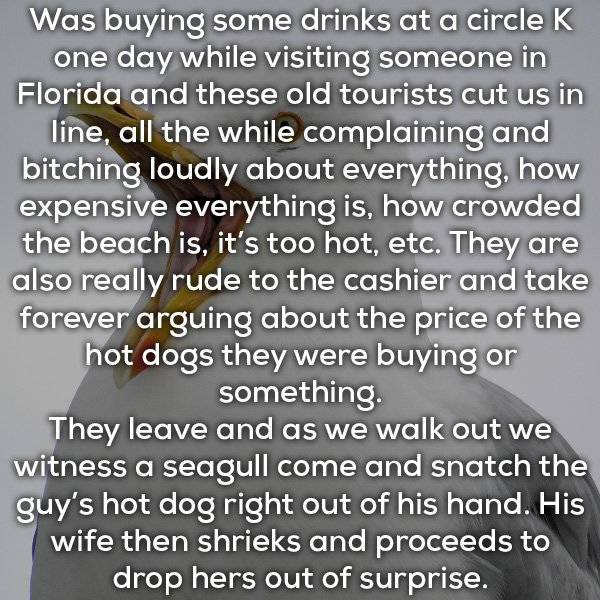 Instant Karma (15 pics)