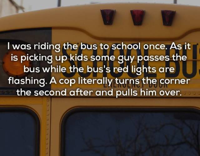 Instant Karma (15 pics)