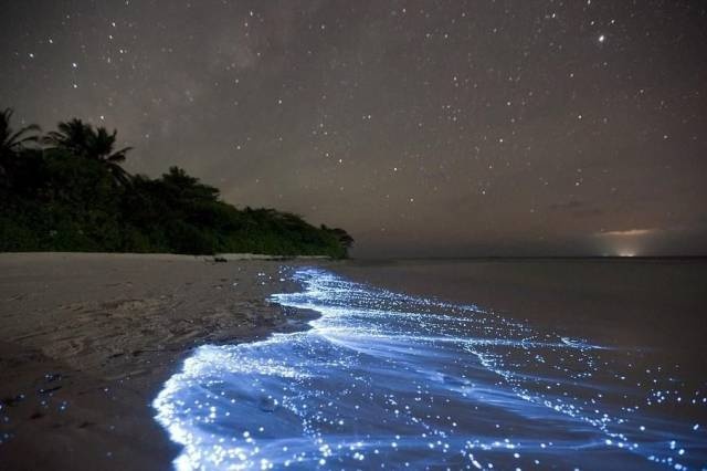 Acid Picdump (91 pics)