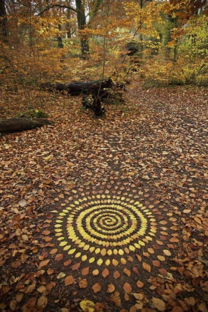 Acid Picdump (91 pics)