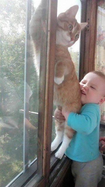 Acid Picdump (91 pics)