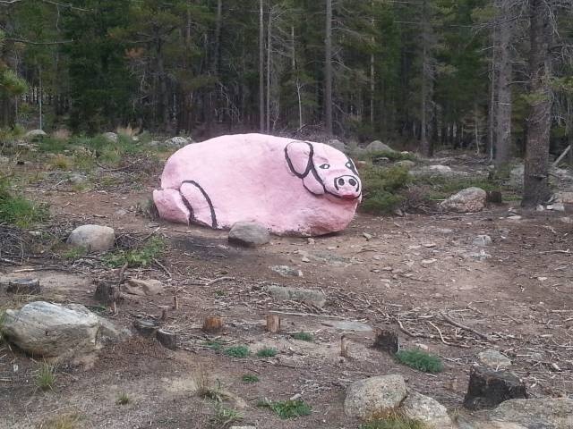 Acid Picdump (91 pics)