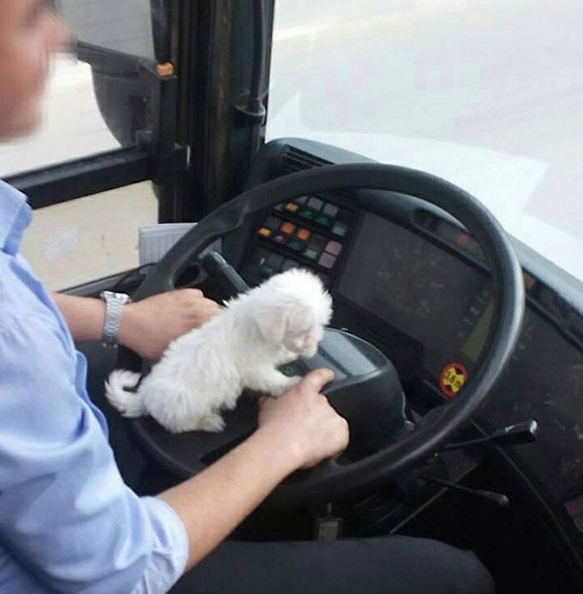 Acid Picdump (91 pics)