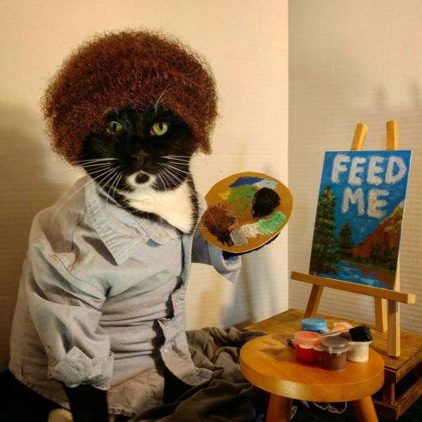 Acid Picdump (91 pics)