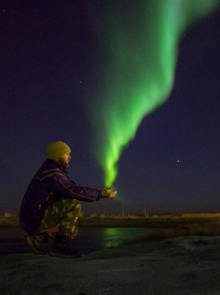 Photos With Perfect Timing (51 pics)