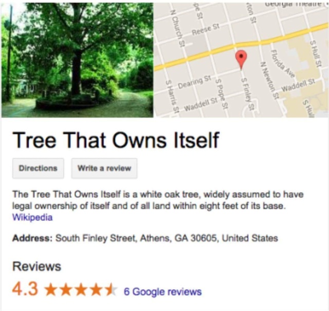 Tree That Legally Owns Itself (6 pics)