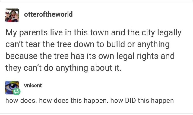 Tree That Legally Owns Itself (6 pics)