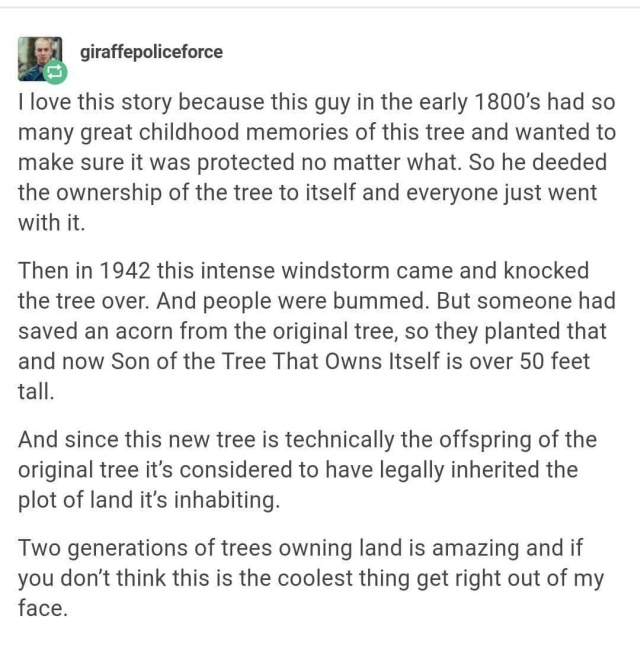 Tree That Legally Owns Itself (6 pics)