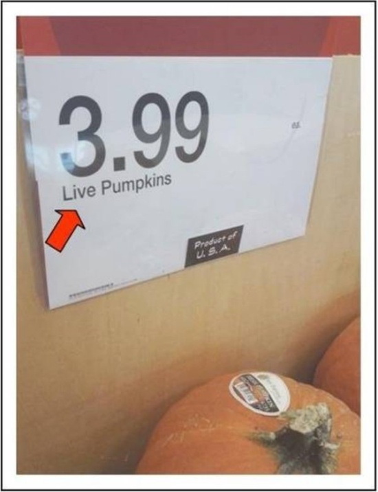 Work Is Fun (27 pics)
