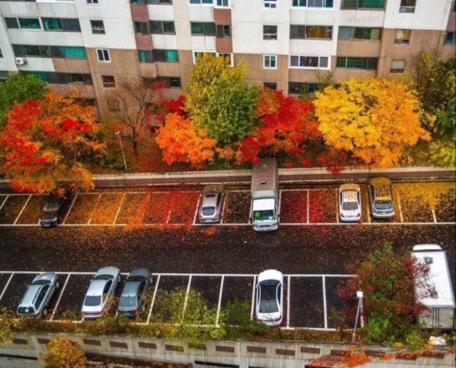 It's Hard To Believe But These Photos Are Real (24 pics)