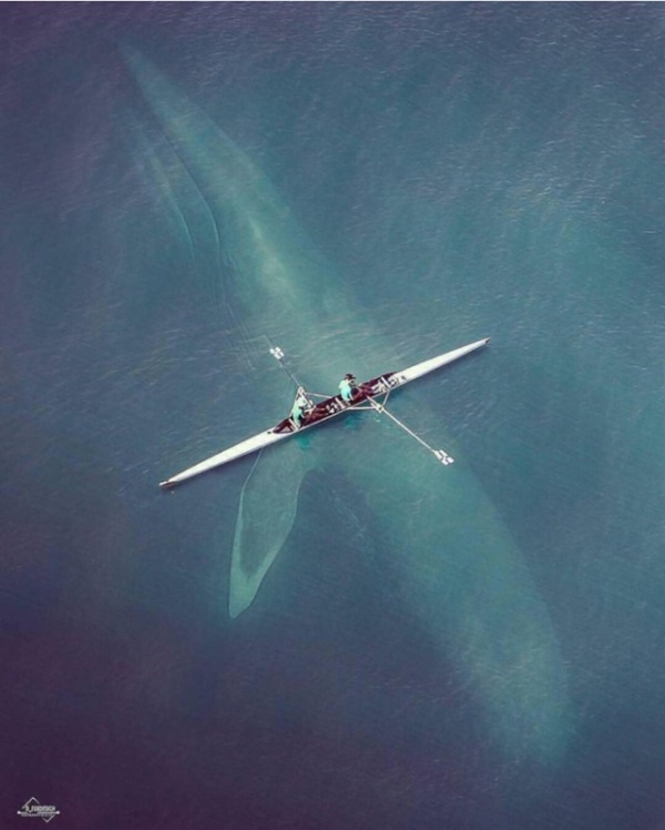 It's Hard To Believe But These Photos Are Real (24 pics)