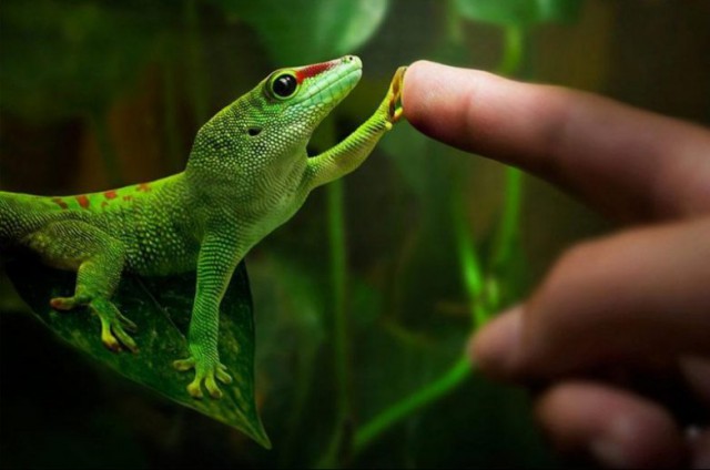 It's Hard To Believe But These Photos Are Real (24 pics)