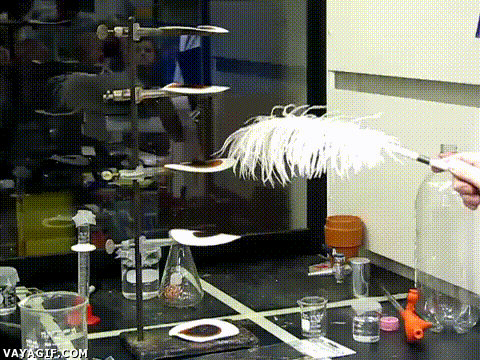 Acid Gifdump, September 21, 2018 (25 gifs)
